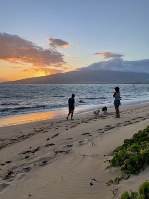Nona Lani Cottages by null
