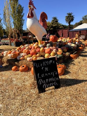 Larry's Produce by null