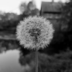 Werse