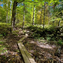 Bingham Falls - Trail down to the picnic area by the river