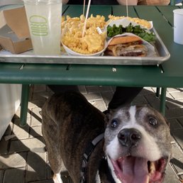 White Truffle Burger & Cheese Fries on the Patio with our happy boy. White Truffle Burger & Cheese Fries on the Patio with our happy boy.