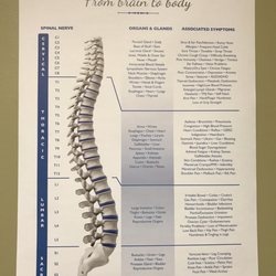 Klein Chiropractic & Massage - Function
