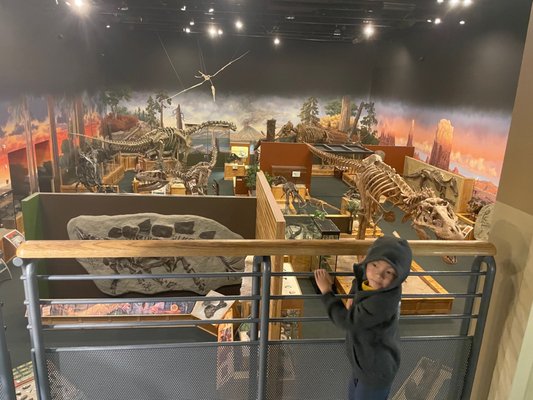 Ogden's George S. Eccles Dinosaur Park by null