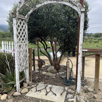 Ostrichland USA - Art - Attraction Farms Near Me - Solvang, California Ostrichland USA - Art - Attraction Farms Near Me - Solvang, California
