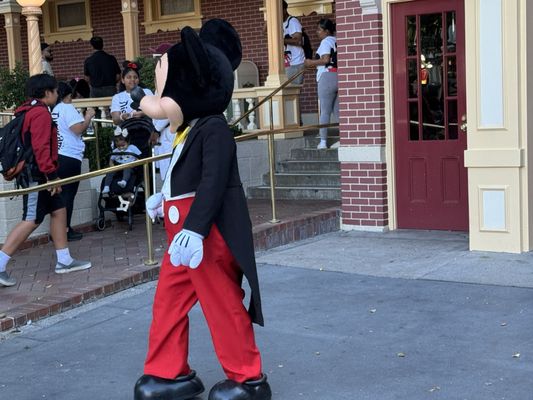 Disneyland Resort by null