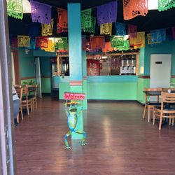 Tijuana Falls Taqueria