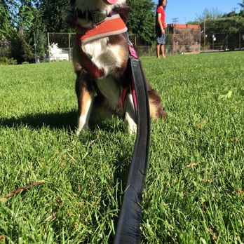 Wallace Park - Dog Parks Near Me - Portland, Oregon Wallace Park - Dog Parks Near Me - Portland, Oregon