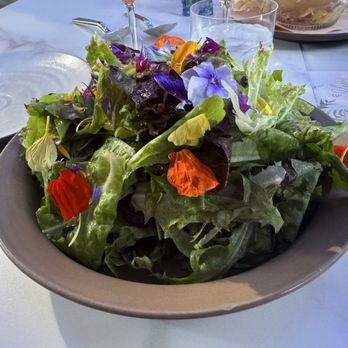 Stella - Simple greens - Italian Near Me - Kenwood, California
