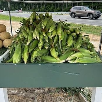Barnyard Produce - Fruits & Veggies Near Me - Easton, Maryland Barnyard Produce - Fruits & Veggies Near Me - Easton, Maryland