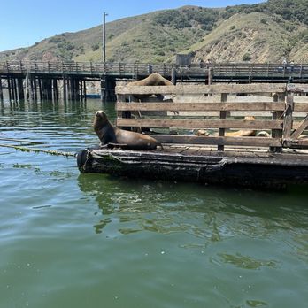 SLO Tours - Boat Tours Near Me - San Luis Obispo, California SLO Tours - Boat Tours Near Me - San Luis Obispo, California