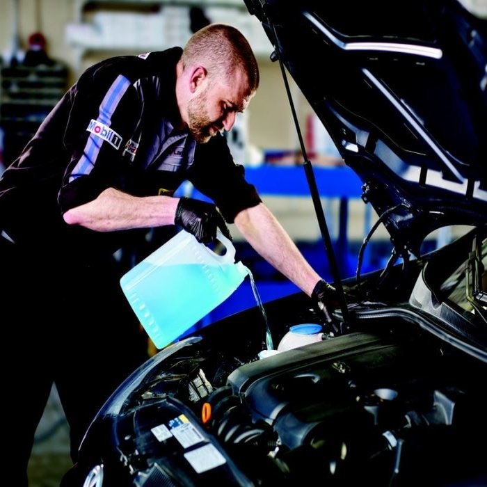 MR. LUBE Updated July 2024 10 Photos 2024 3rd Avenue S, Lethbridge, Alberta Auto