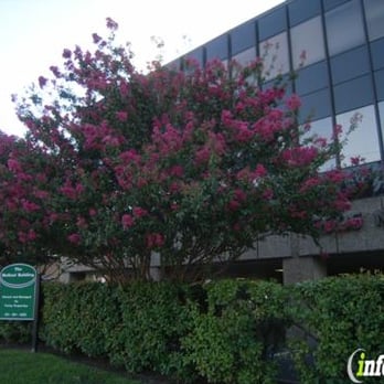 Calligraphic Arts - Art Galleries Near Me - Dallas, Texas Calligraphic Arts - Art Galleries Near Me - Dallas, Texas
