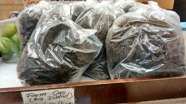 Oki's Seafood Corner Foodland by null