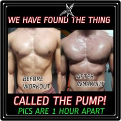 Physical Junkie Sports - Yes you too can refine your body!
