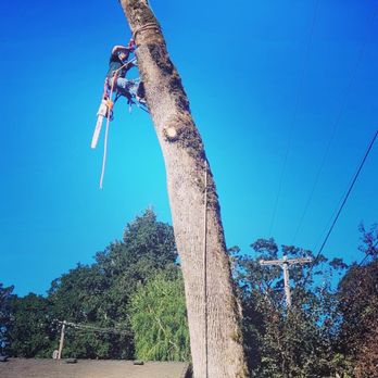 Emerald Valley Tree Service - Tree Services Near Me