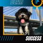 Photo of DeGouff K9