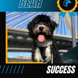 DeGouff K9 - Congrats to Bear!