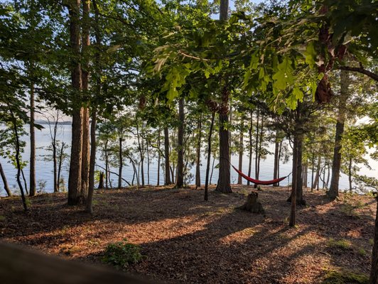 Dreher Island State Park by null