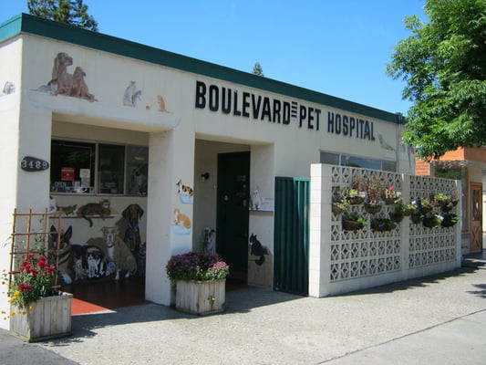 Boulevard Pet Hospital 3489 Castro Valley Blvd Castro Valley Ca Unknown Mapquest