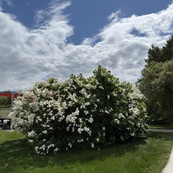 8th Generation Vineyard - Beautiful grounds - Wineries Near Me - Summerland, British Columbia