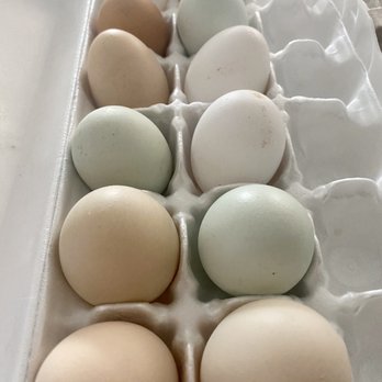 McKee Ranch - ONLY BUY fresh chicken eggs here - once you tried it you'll know why - Ranches Near Me - Las Vegas, Nevada McKee Ranch - ONLY BUY fresh chicken eggs here - once you tried it you'll know why - Ranches Near Me - Las Vegas, Nevada