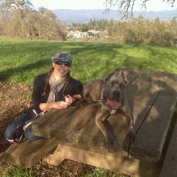 Alston Park - Dog Parks Near Me - Napa, California Alston Park - Dog Parks Near Me - Napa, California