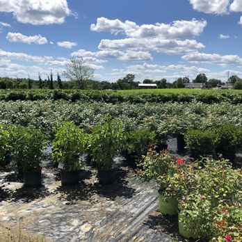 Lawnworks - Garden Center - Lawn Services Near Me - Rochester, Pennsylvania Lawnworks - Garden Center - Lawn Services Near Me - Rochester, Pennsylvania
