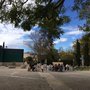 Photo of Kiosco L'Alquería