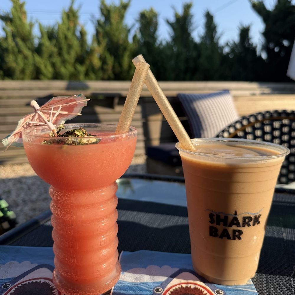 Shark Bar - Cocktail Bars Near Me - Montauk, New York