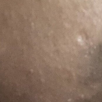 X.O. Brows - 3 weeks after my initial appointment! No product in my brows - Permanent Makeup Near Me X.O. Brows - 3 weeks after my initial appointment! No product in my brows - Permanent Makeup Near Me