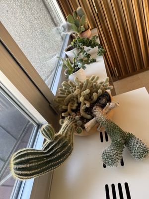 Hotel Metropole by null