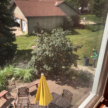Mendez Tree Services - Post tree removal... - Tree Services Near Me - Naperville, Illinois
