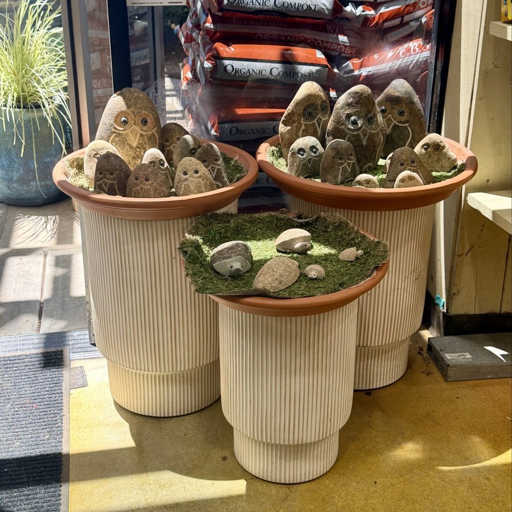 Armstrong Garden Centers - Nurseries & Gardening Near Me - Temecula, California