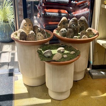 Armstrong Garden Centers - Nurseries & Gardening Near Me - Temecula, California