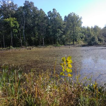 Penitentiary Glen Reservation - Marsh - Parks Near Me - Willoughby, Ohio
