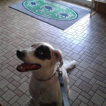 Nick's Seafood - Dog friendly at the bar area - Seafood Near Me - Freeport, Florida Nick's Seafood - Dog friendly at the bar area - Seafood Near Me - Freeport, Florida