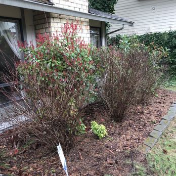 D Green Quality - Before - Landscaping Near Me D Green Quality - Before - Landscaping Near Me
