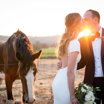 Wolf Weddings - Event Photography Near Me
