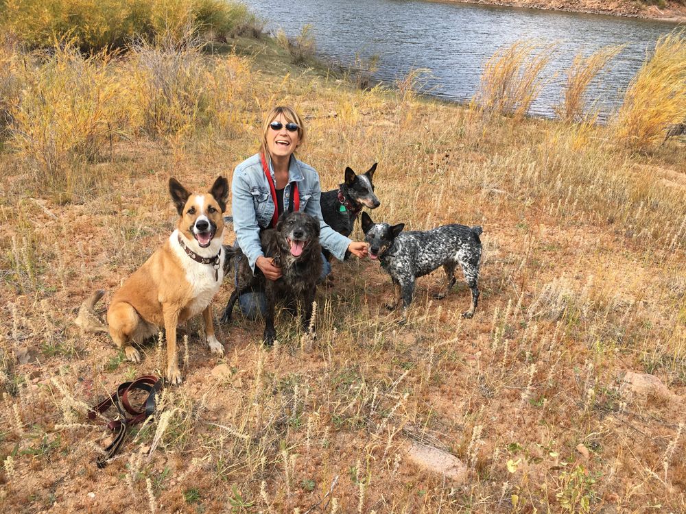 Dogito - pet boarding facility in Pecos, NM