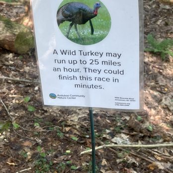 Audubon Community Nature Center - Hiking Near Me - Jamestown, New York