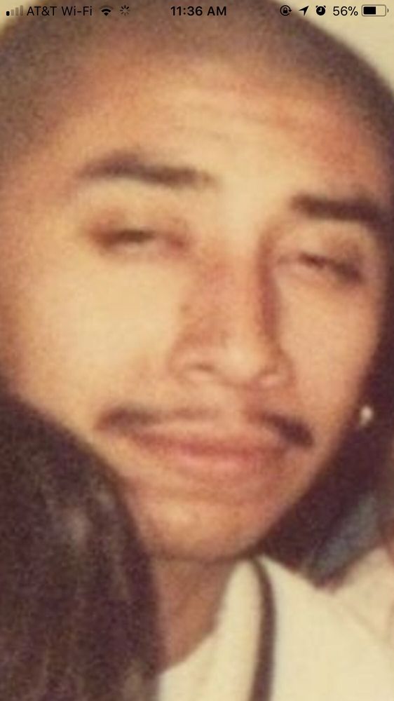 ALL PAWS 13 Reviews 13756 Ventura Blvd, Sherman Oaks, California