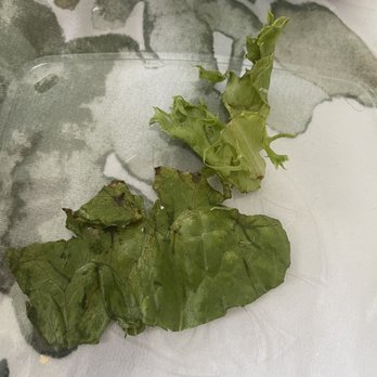 Chick-fil-A - I had to pick through the salad and remove all of the wilted/brown lettuce. - Fast Food Near Me - Atlanta, Georgia