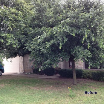Trees R Us - Before Trees R Us - Tree Services Near Me Trees R Us - Before Trees R Us - Tree Services Near Me