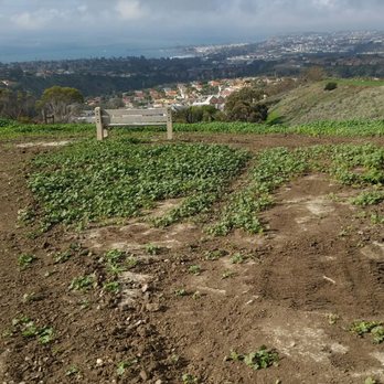 Las Ramblas Trail - Cute little bench with ocean view - Hiking Near Me - San Juan Capistrano, California Las Ramblas Trail - Cute little bench with ocean view - Hiking Near Me - San Juan Capistrano, California