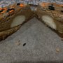 Photo of Ghoul Next Door Bakeshop