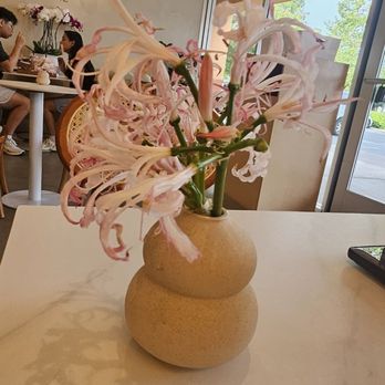 T% Coffee + Tea - Coffee & Tea Near Me - Elk Grove, California