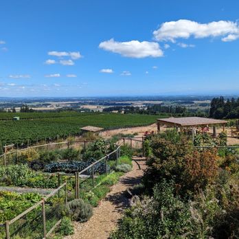 Brooks Wine - Views from the outdoor patio - Wineries Near Me - Amity, Oregon