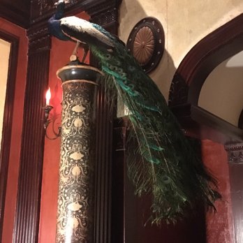Clifton's Republic - Peacock! - Bars Near Me - Los Angeles, California