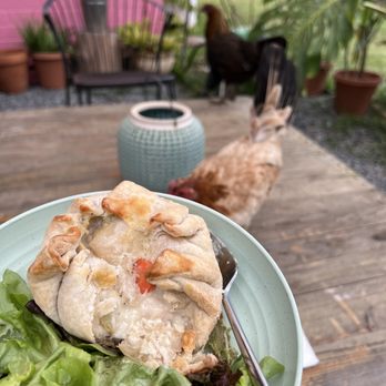 HI Pie Bakery + Cafe - Chicken pot pie with friends - Bakeries Near Me - Haleiwa, Hawaii HI Pie Bakery + Cafe - Chicken pot pie with friends - Bakeries Near Me - Haleiwa, Hawaii