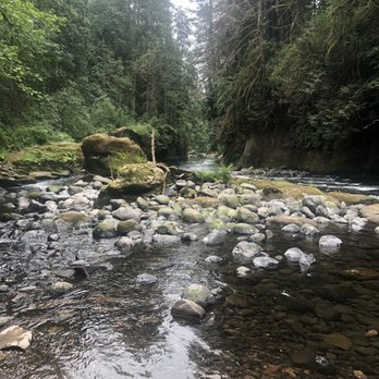 Green River Gorge Resort - Down on the river trail - Resorts Near Me - Enumclaw, Washington